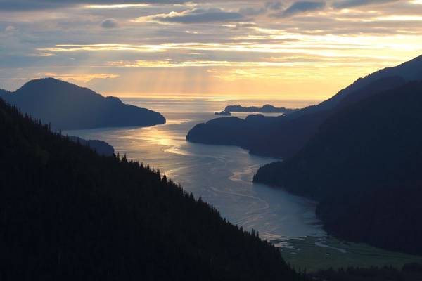 00h0h_k58pript000z_0g70ak_600x450