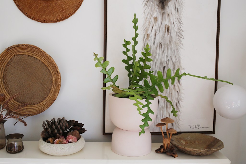 This Is The Next Big Thing in Houseplants (But It’s Extremely Hard to Find)