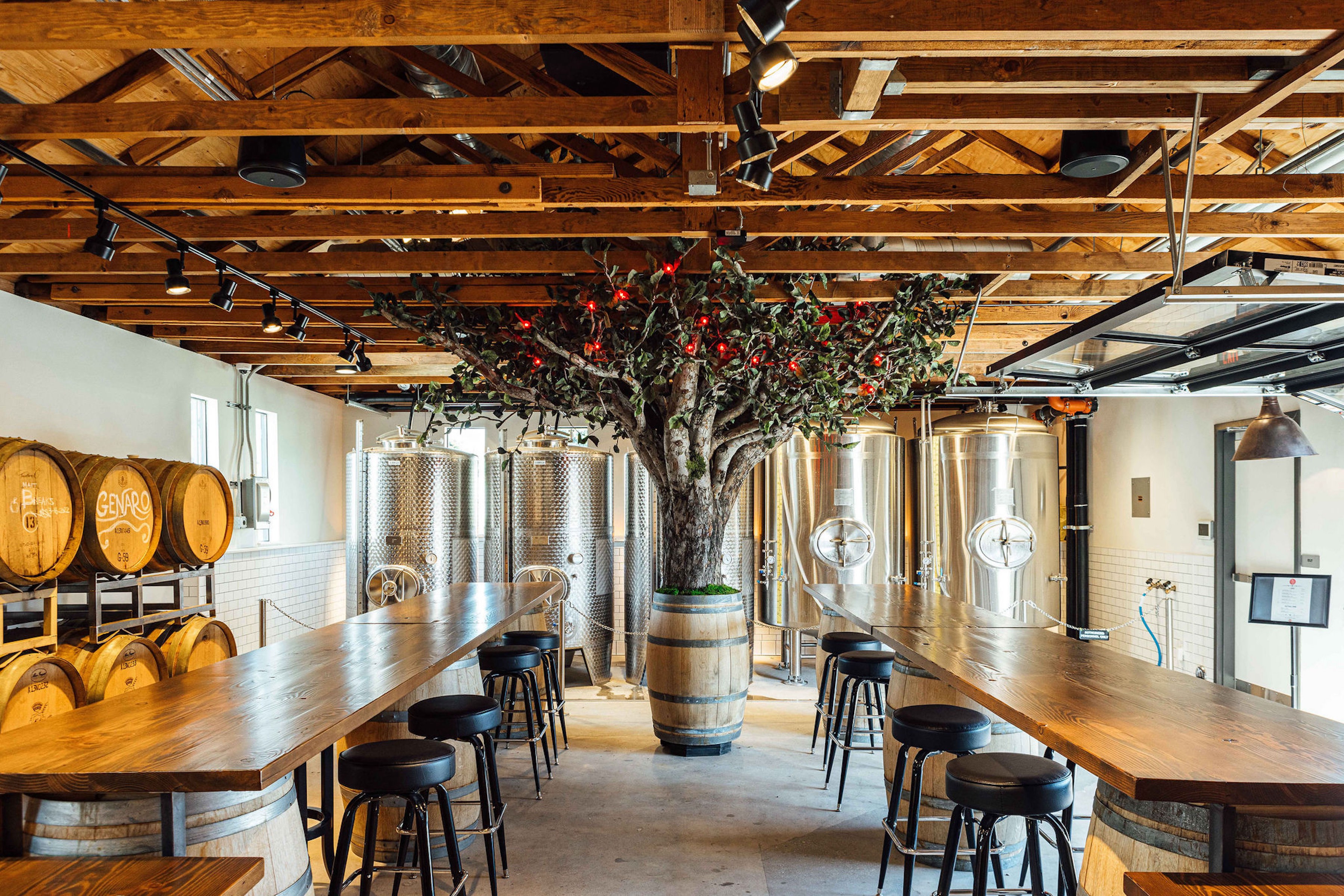 03_cider-house_benny-boy-brewing_credit-marie-buck