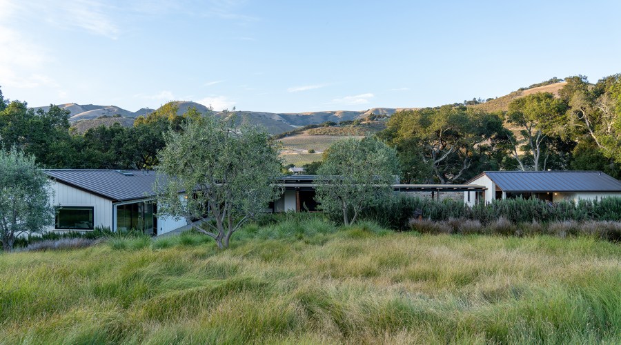 10 Things You Need to Do in Your Garden Before Summer Ends