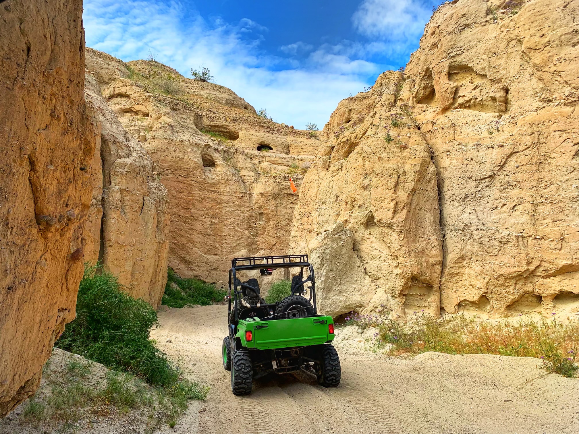 0bcb762b-d876-4123-afb5-a614d1d21ce5