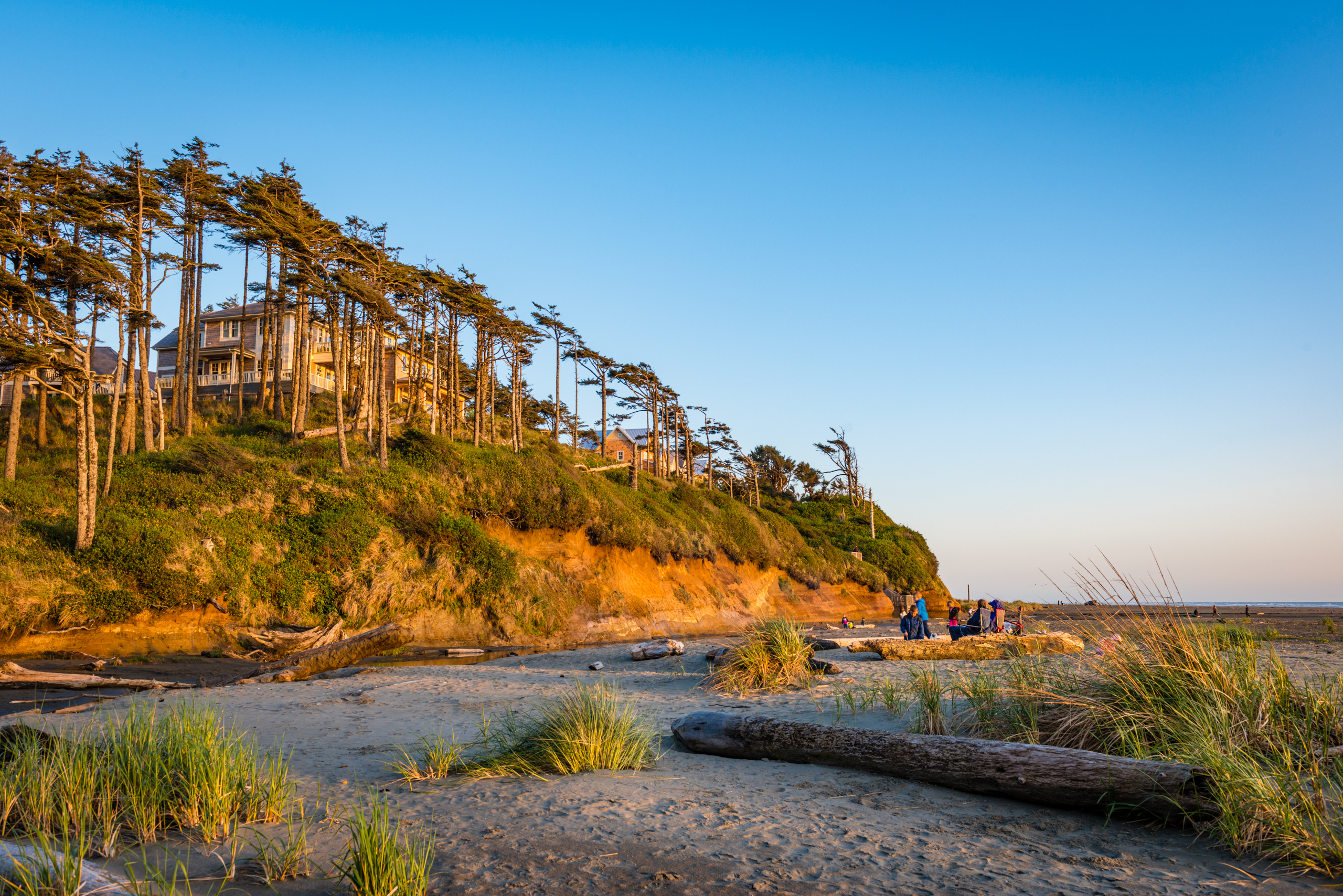 the-beach-at-seabrook-wa