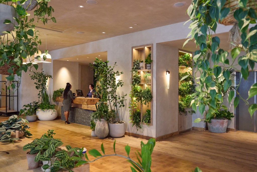 This Is How Hotels Make Their Lobbies Smell So Good (and How to Do It at Home) 