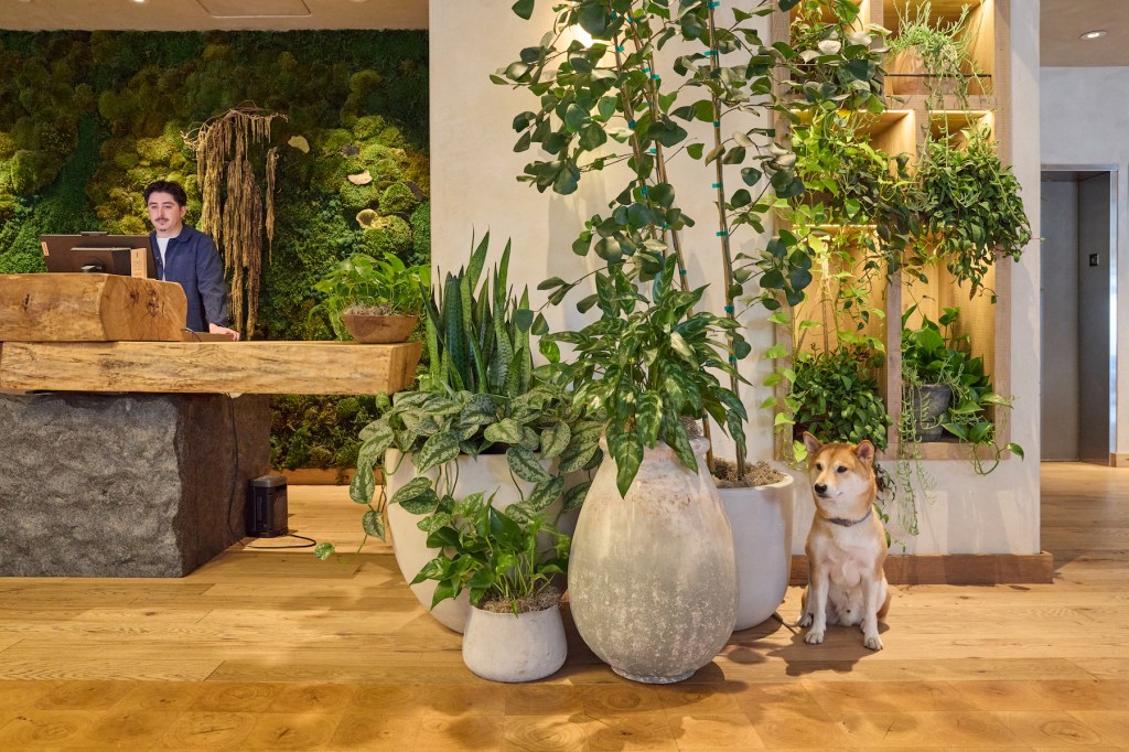 This Hotel Has the Wildest Plant Design—Here’s How to Get the Look at Home