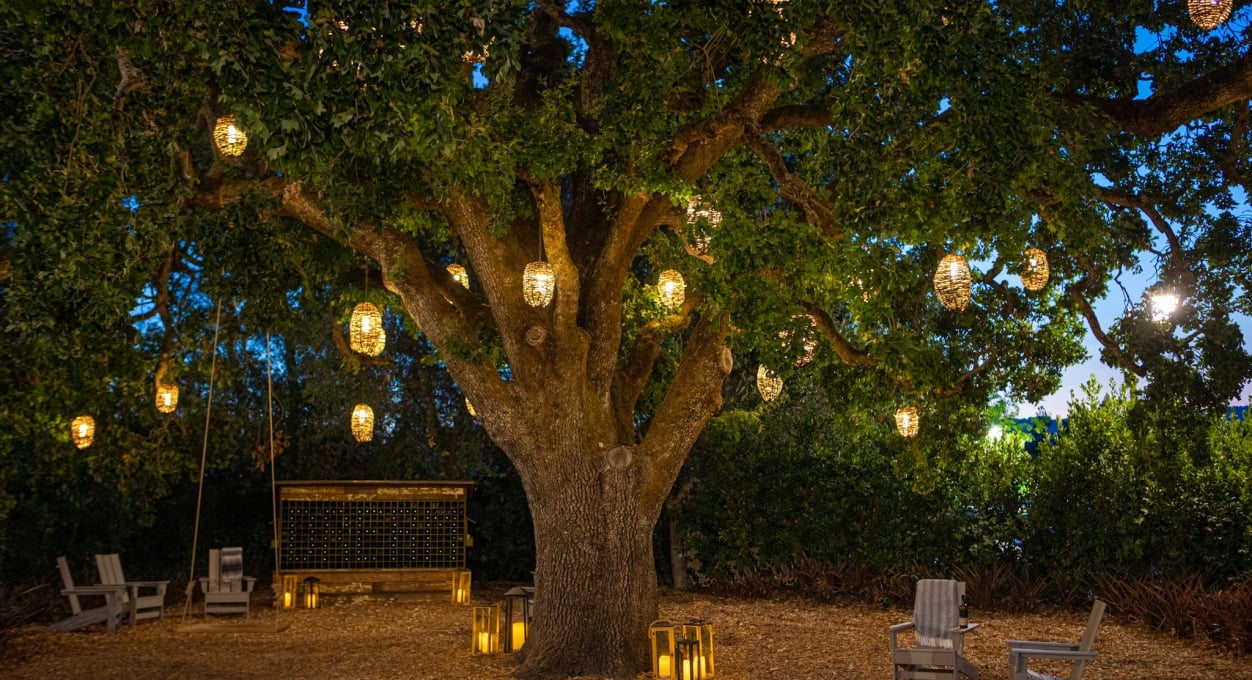 the-lodge-at-sonoma-heritage-oak-at-night