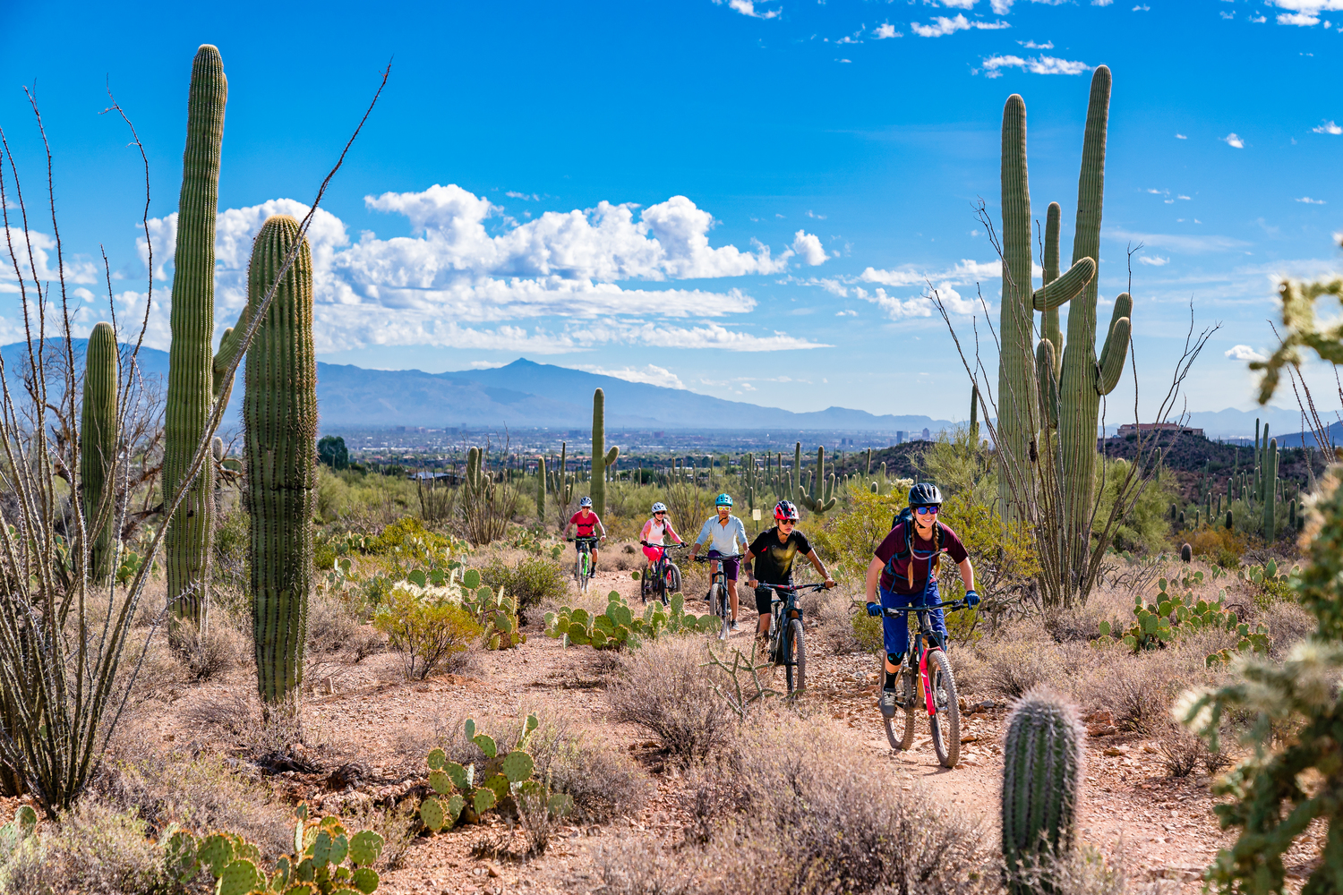 with-varying-terrain-and-trails-for-all-abilities-tucson-is-a-mountain-bikers-paradise