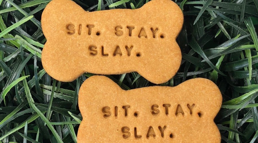 good-dog-treat-box-sit-stay-slay-treat-pack