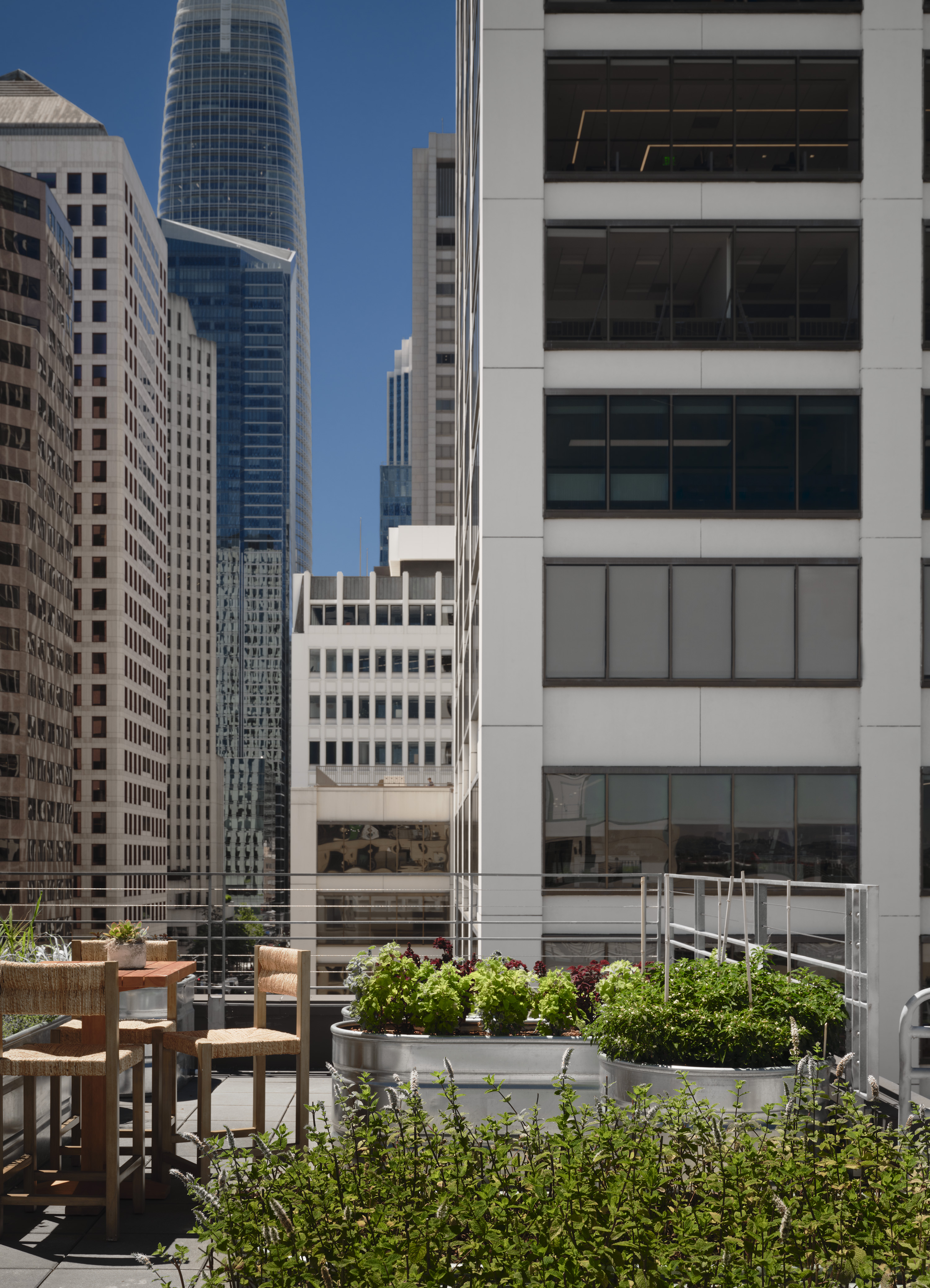 1-hotel-sf-chefs-garden-1