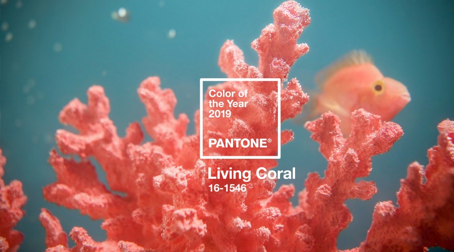 meet-living-coral