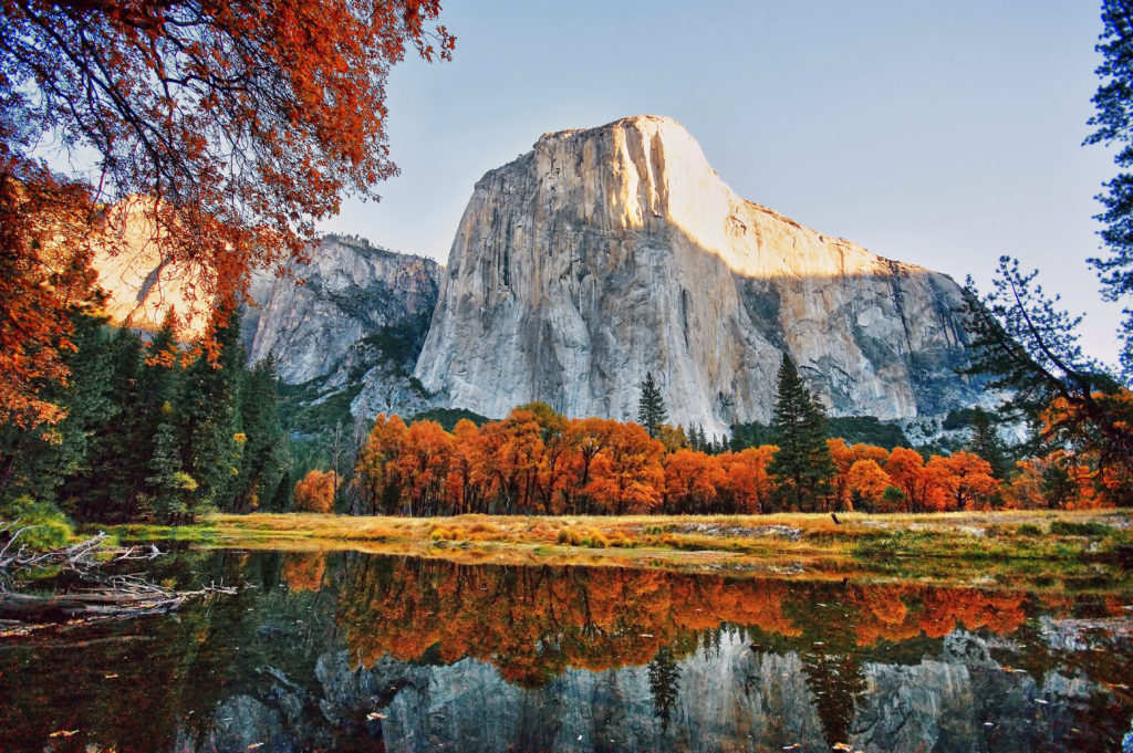 Quiet Camping at Yosemite National Park, CA