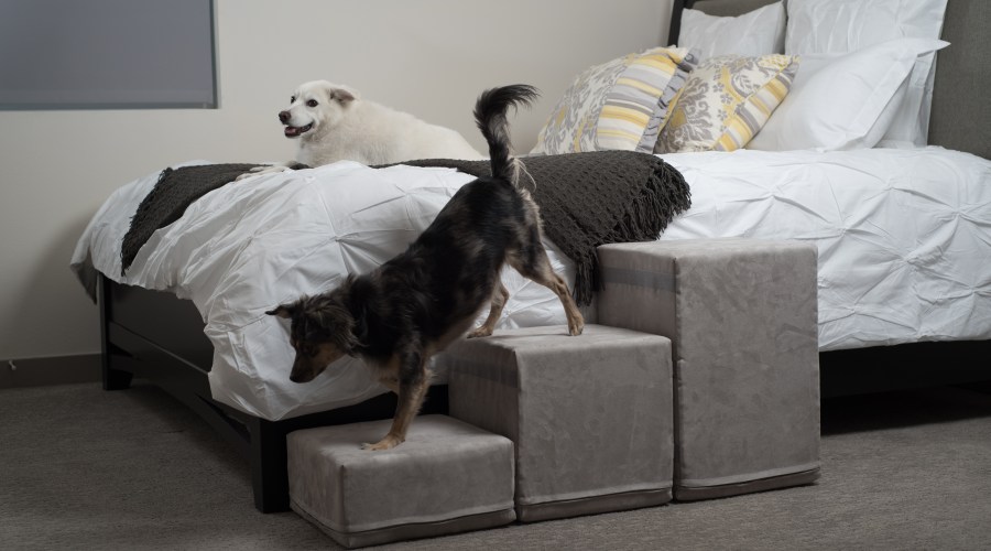 royal-ramps-3-step-pet-stairs