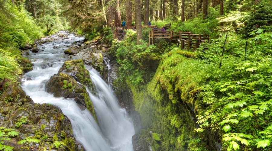 cascading-waterfalls-at-olympic-national-park-wa