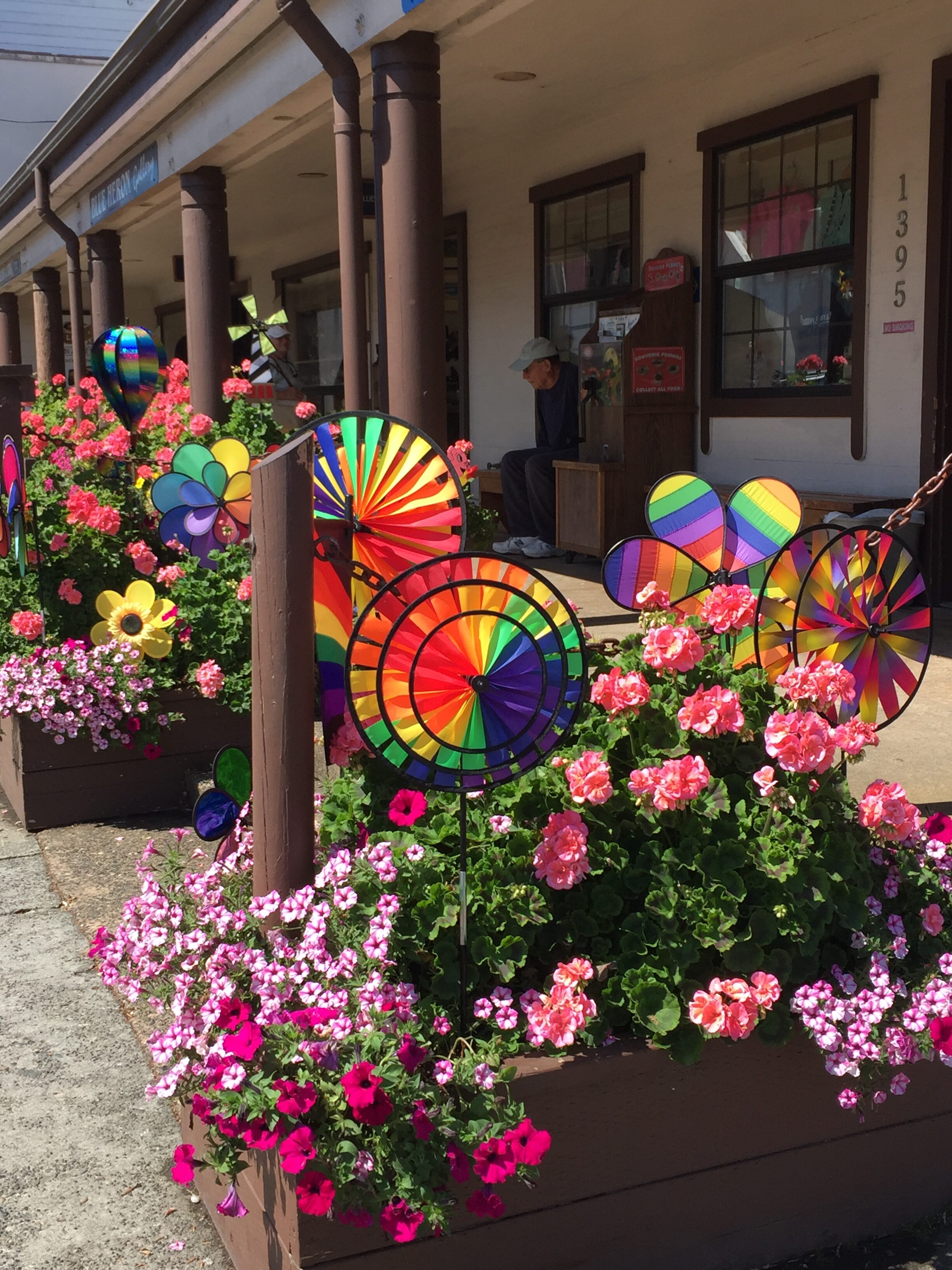 113_915_1541191729151_7064a59415154bc9be45a41daab85607