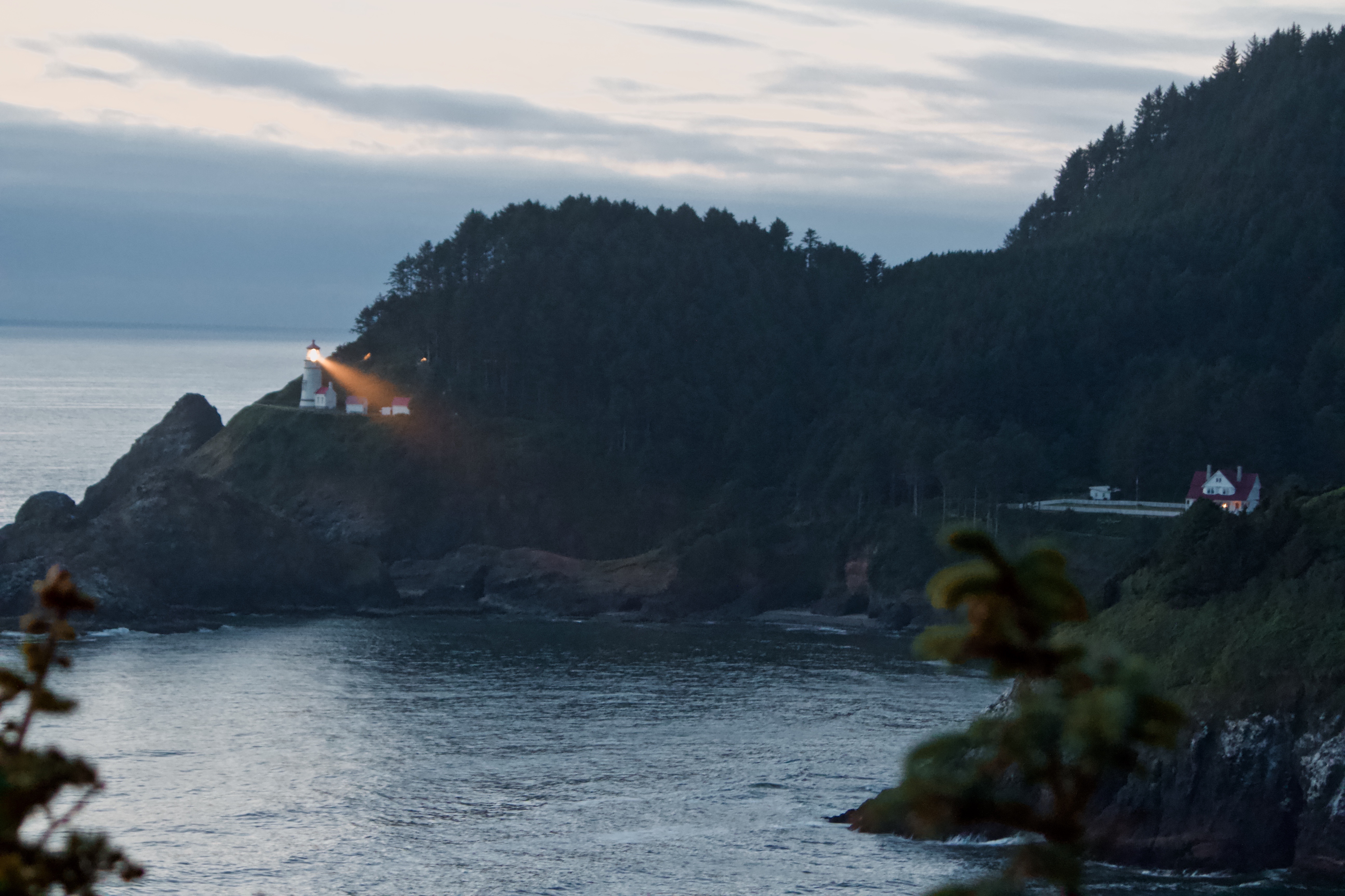 113_915_1541975258001_img_98911