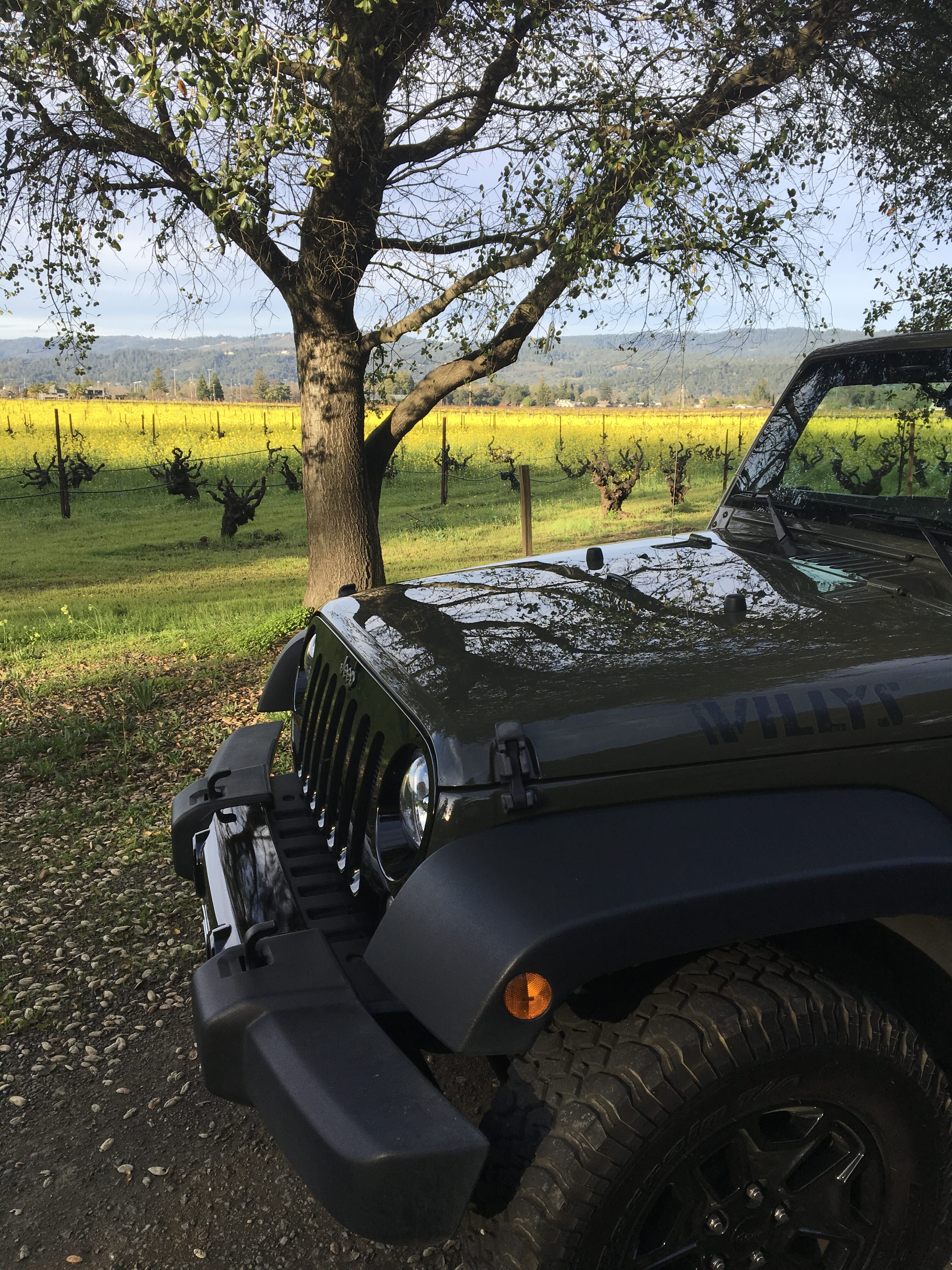 115565f7-b527-4502-b565-ec51adb31e0f