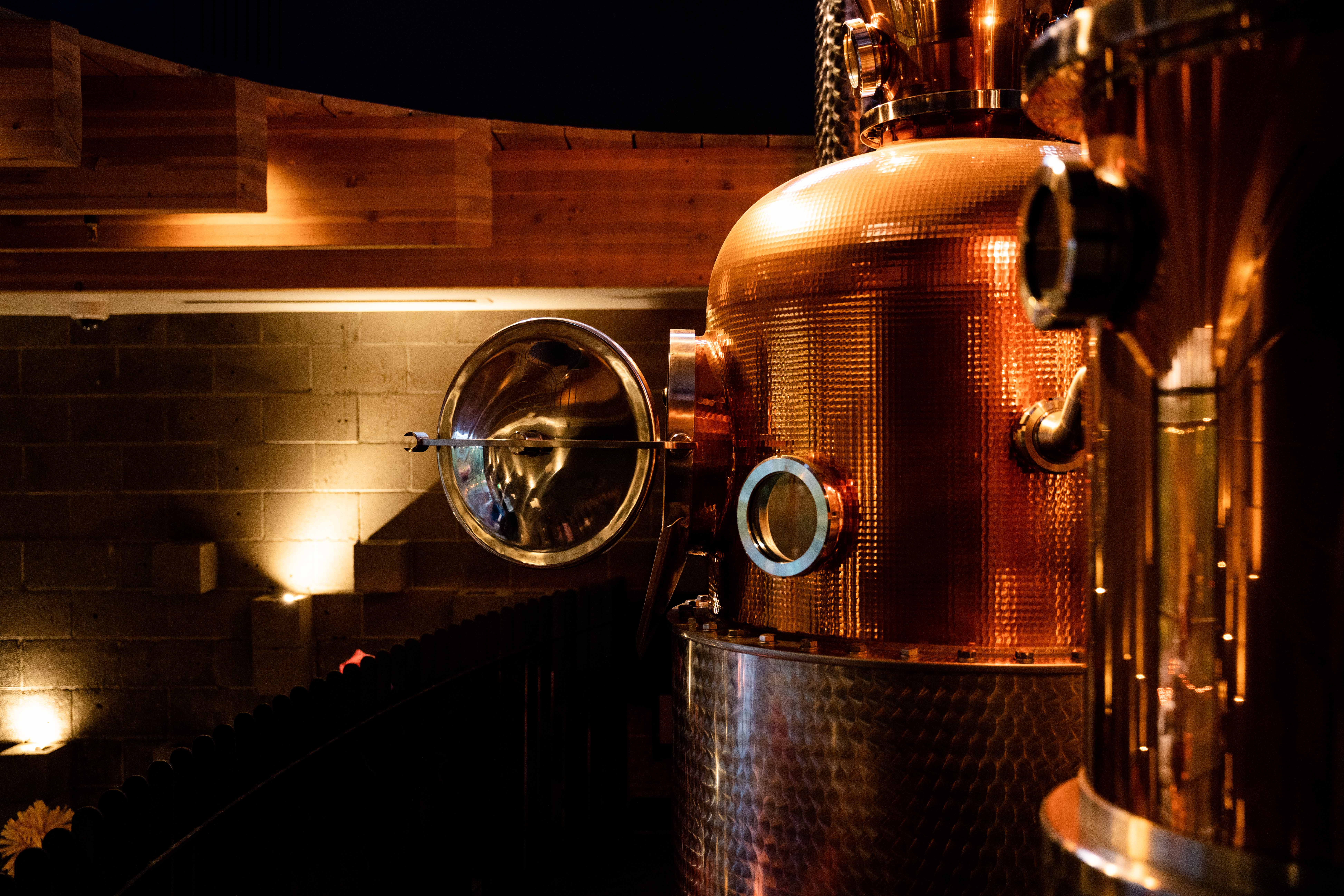 118_werkcreative_220614_familyjones_72dpi