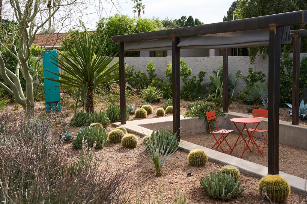 The Plants You Want in Your Garden During a Heatwave