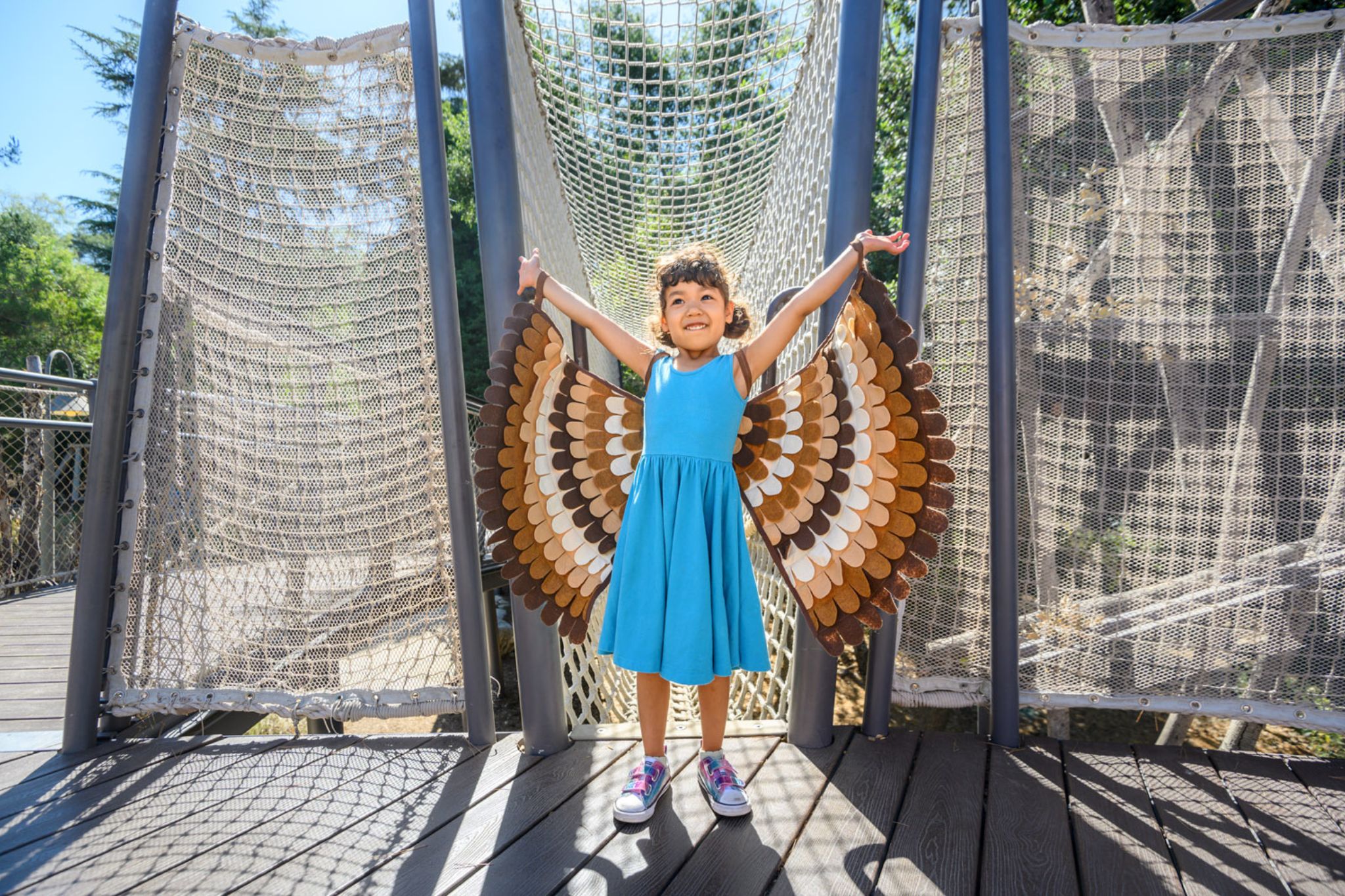 hawk-in-the-hawks-nest