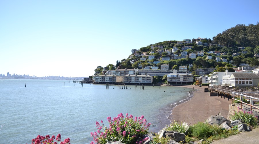 sausalito-more-than-skin-deep