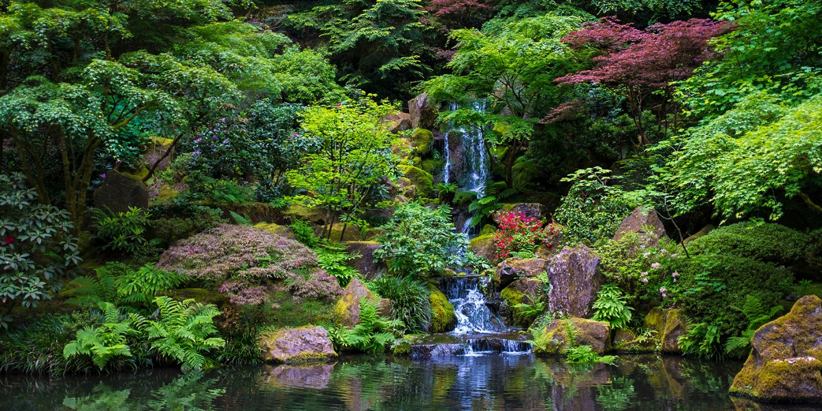 Finding the <i>Ki</i> to Your Own Garden