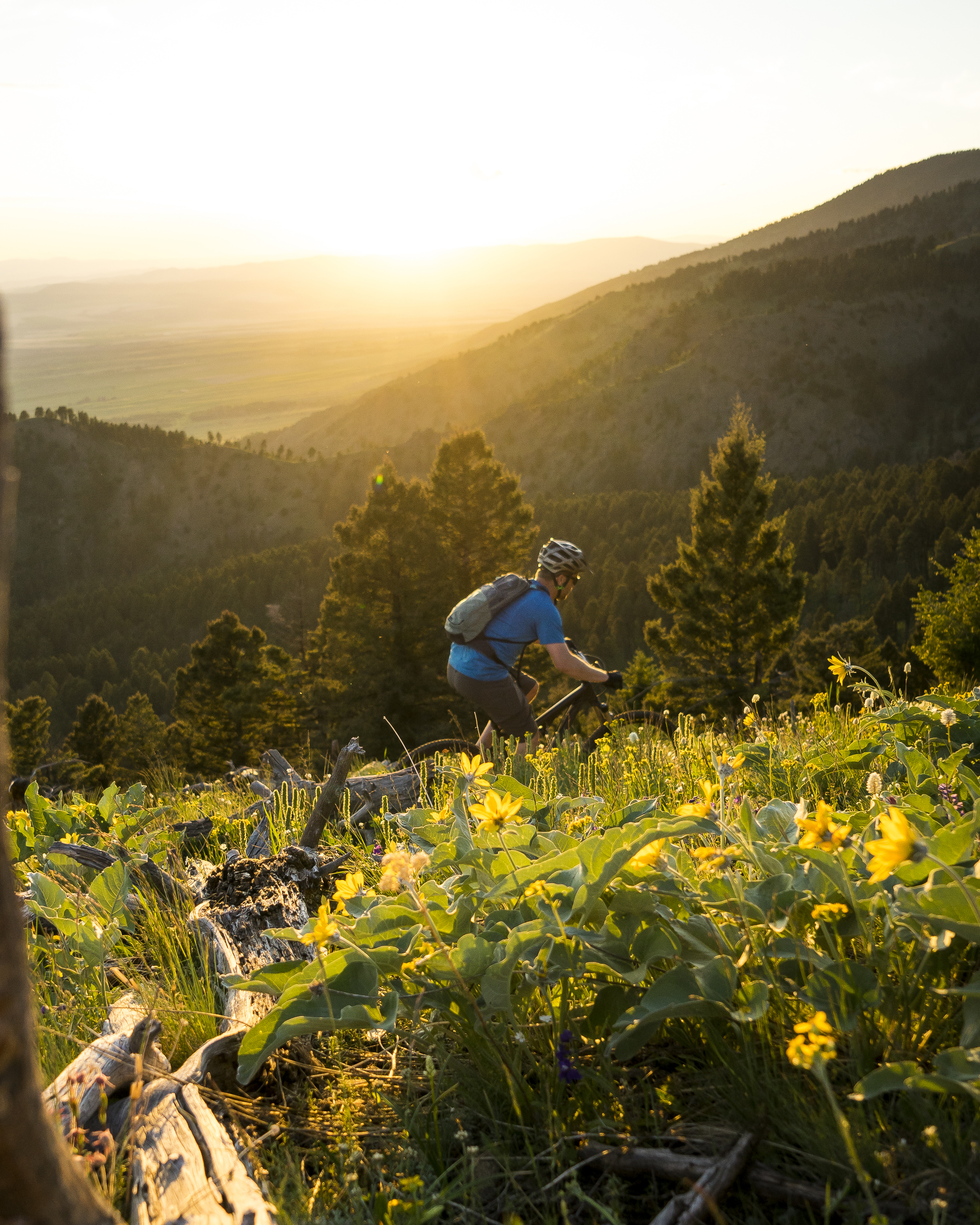 159383-mountain-biking-corbly-gulch-custer-gallatin-national-forest_charlie-mclaughlin