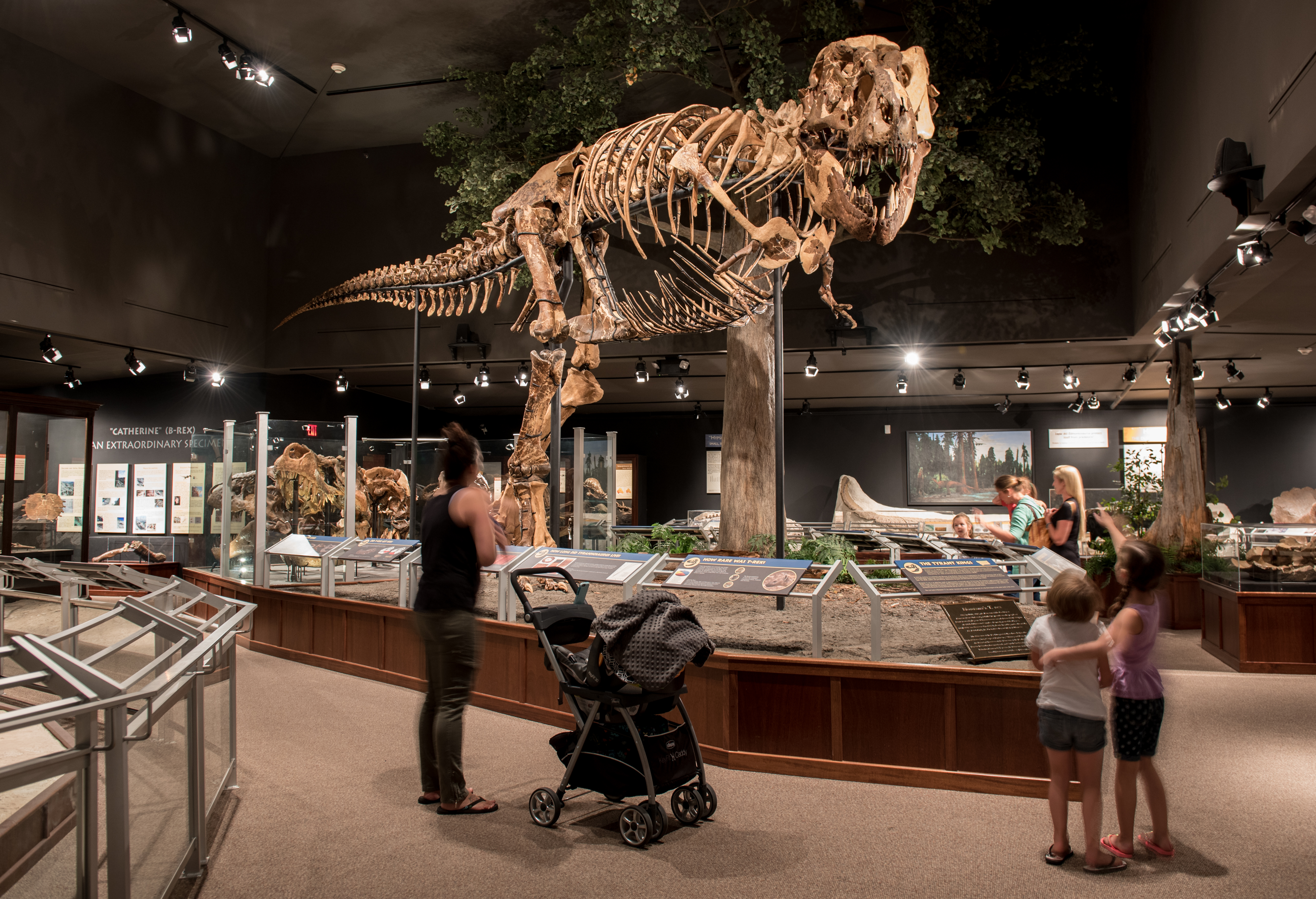 museum-of-the-rockies-bozeman