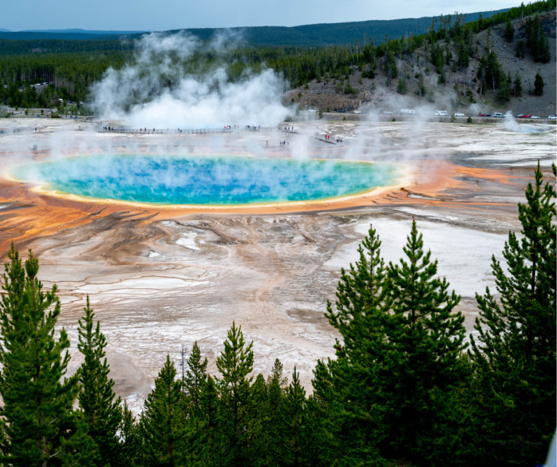 Naturalist Journeys – Yellowstone