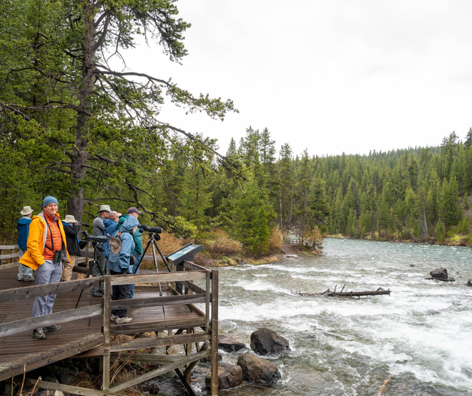 159661-group-lehardy-rapids-hugh-simmons