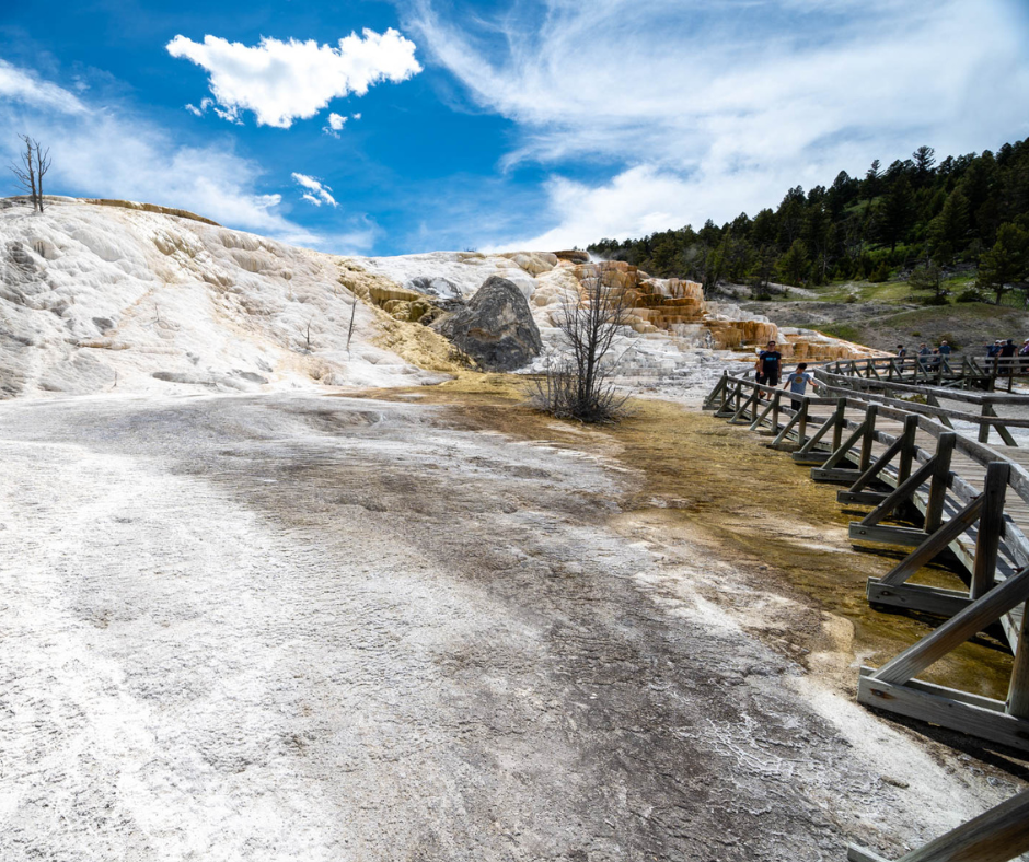 159661-mammoth-hot-springs-hugh-simmons