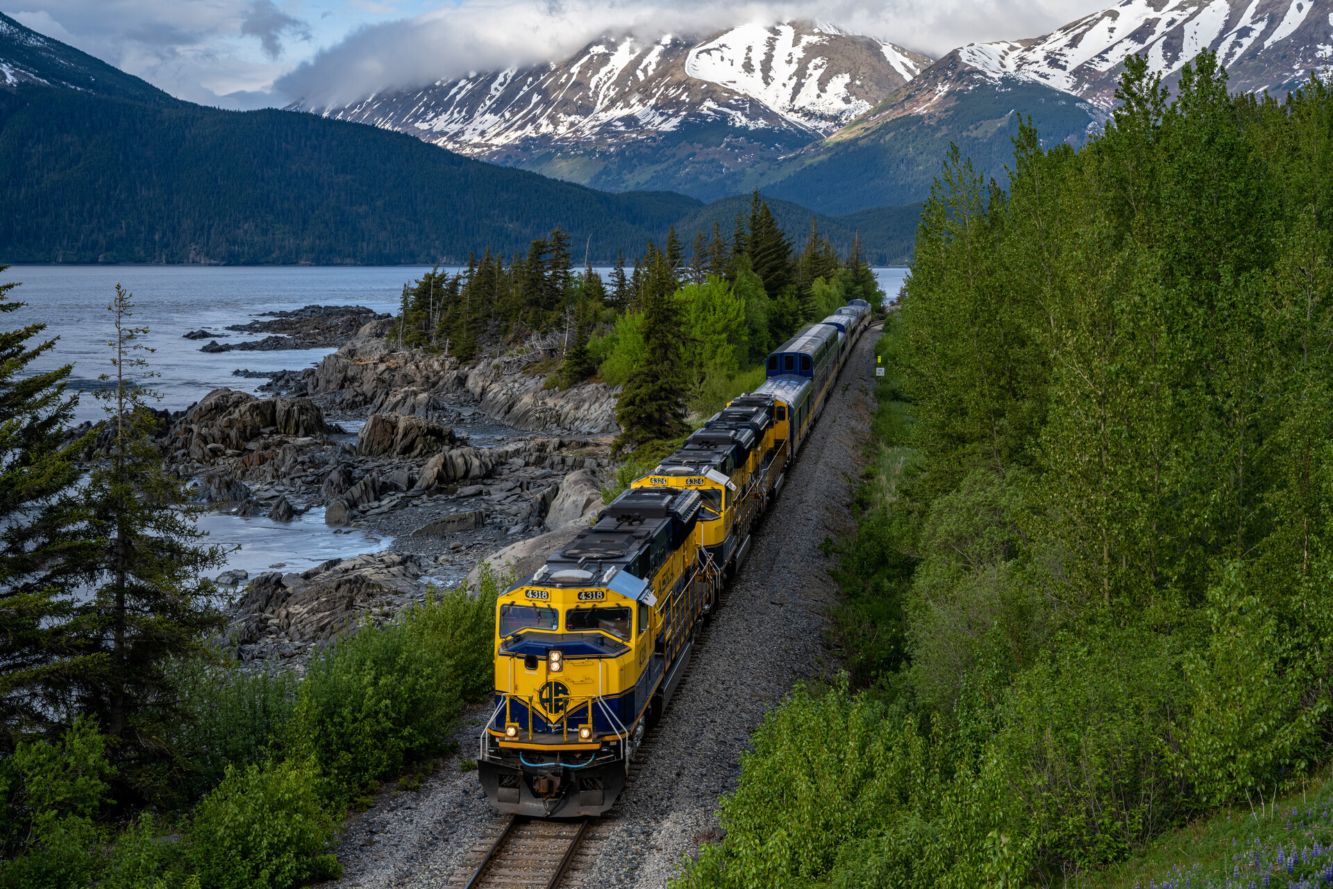 1920_6123fe069c167-_dsc6303