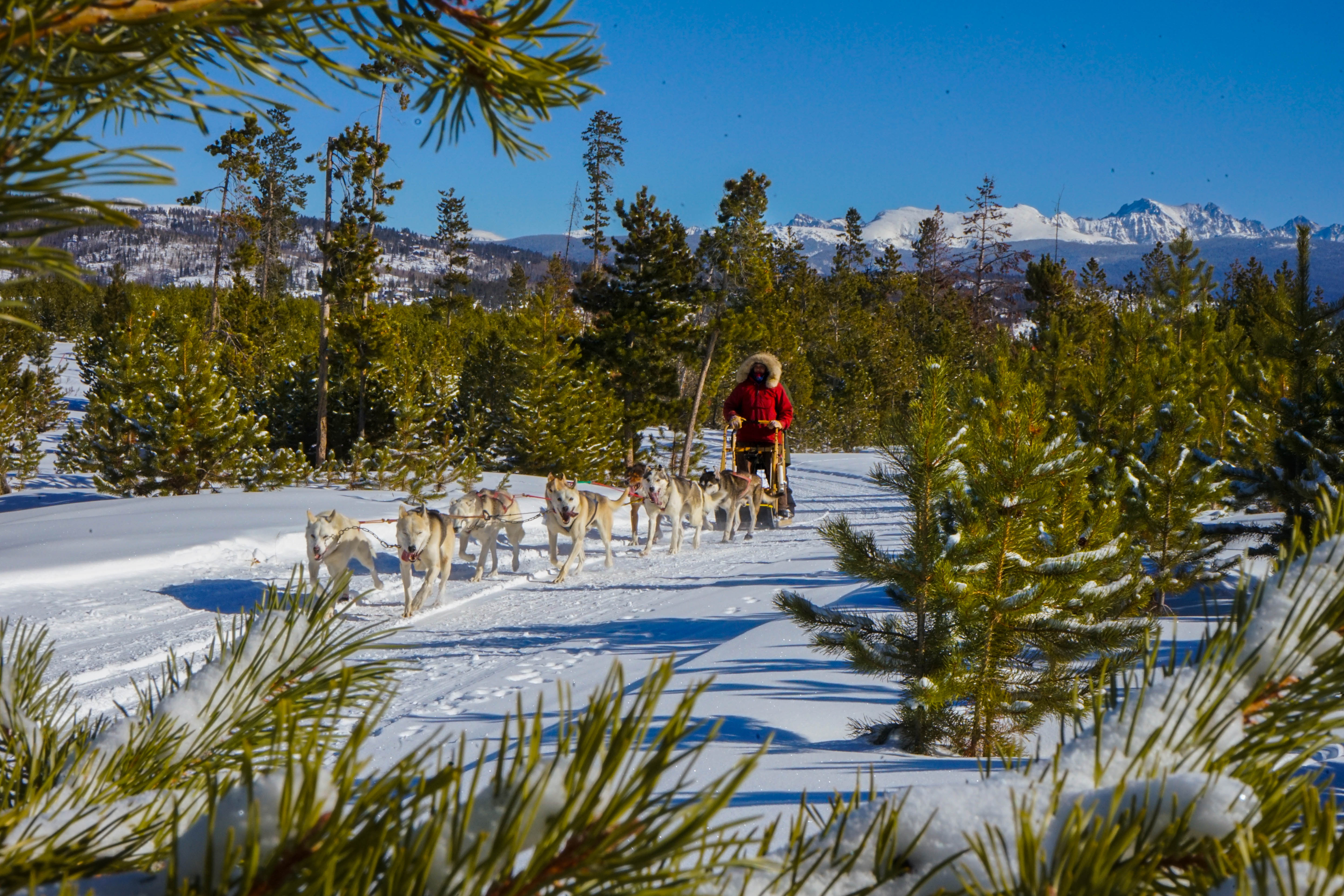 19_12_31_dogsledtours-7-of-7