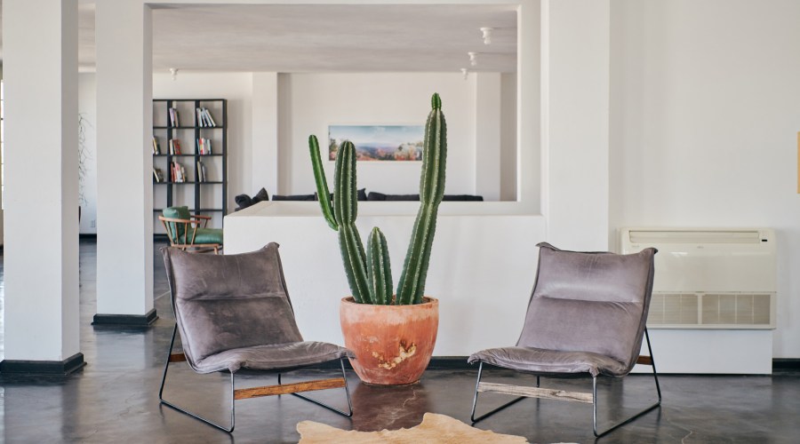 stay-in-a-design-forward-rental