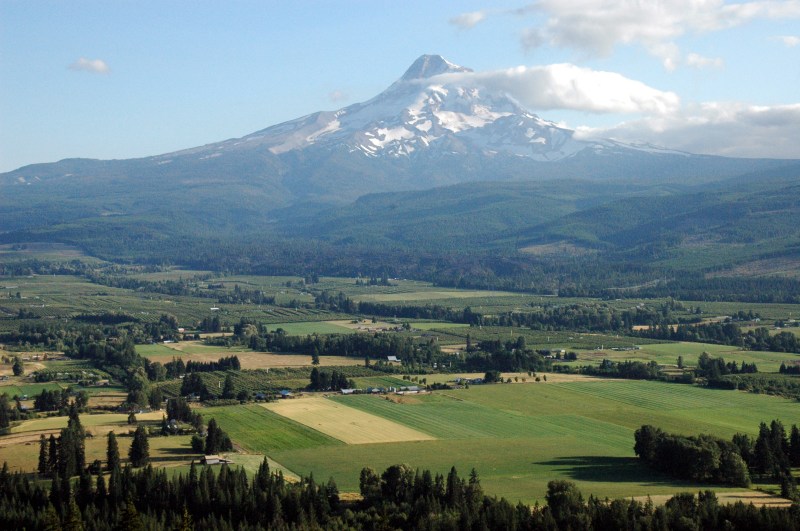 Hike and Railbike in Hood River
