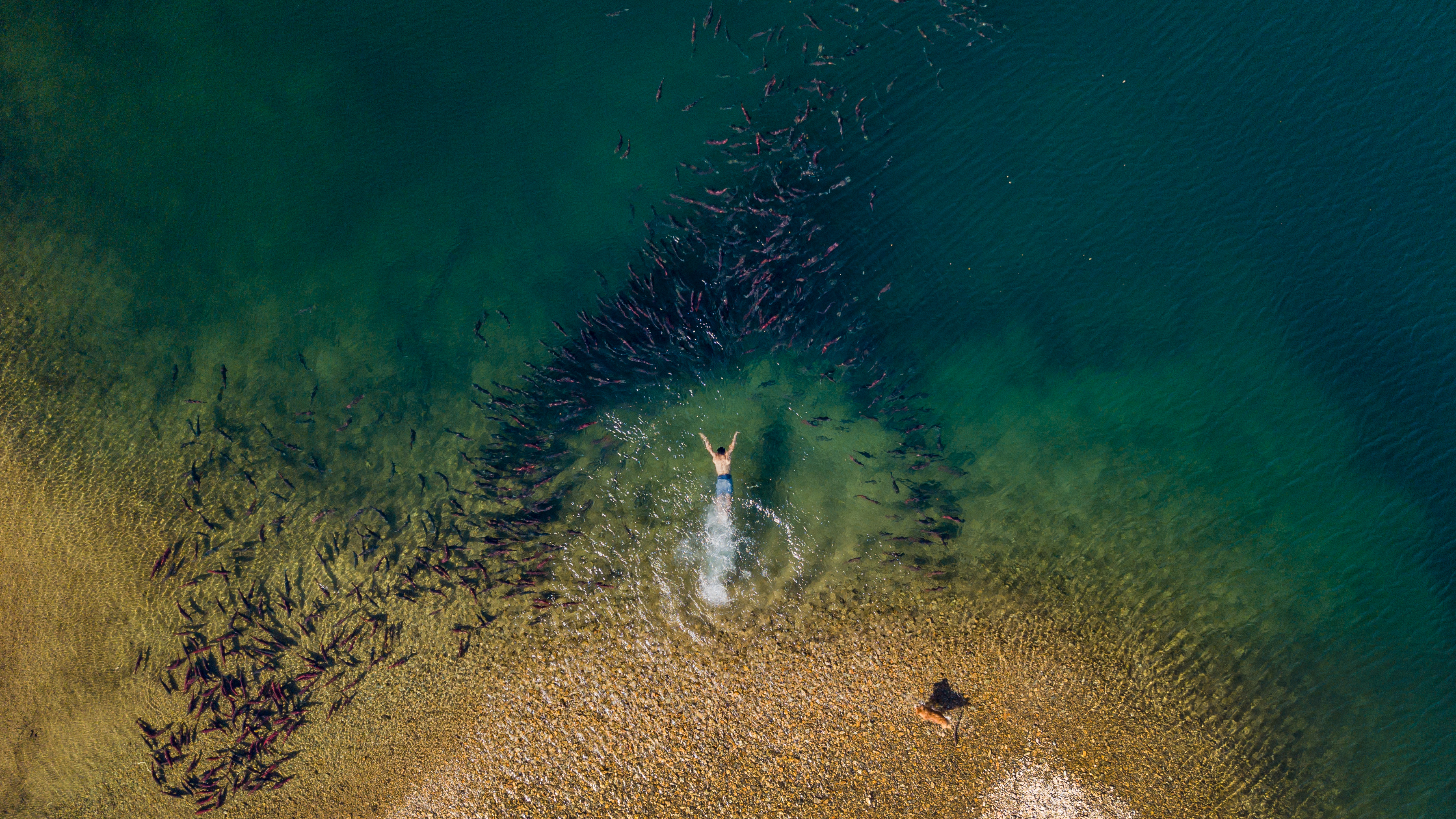 20170806-dji_0016-1