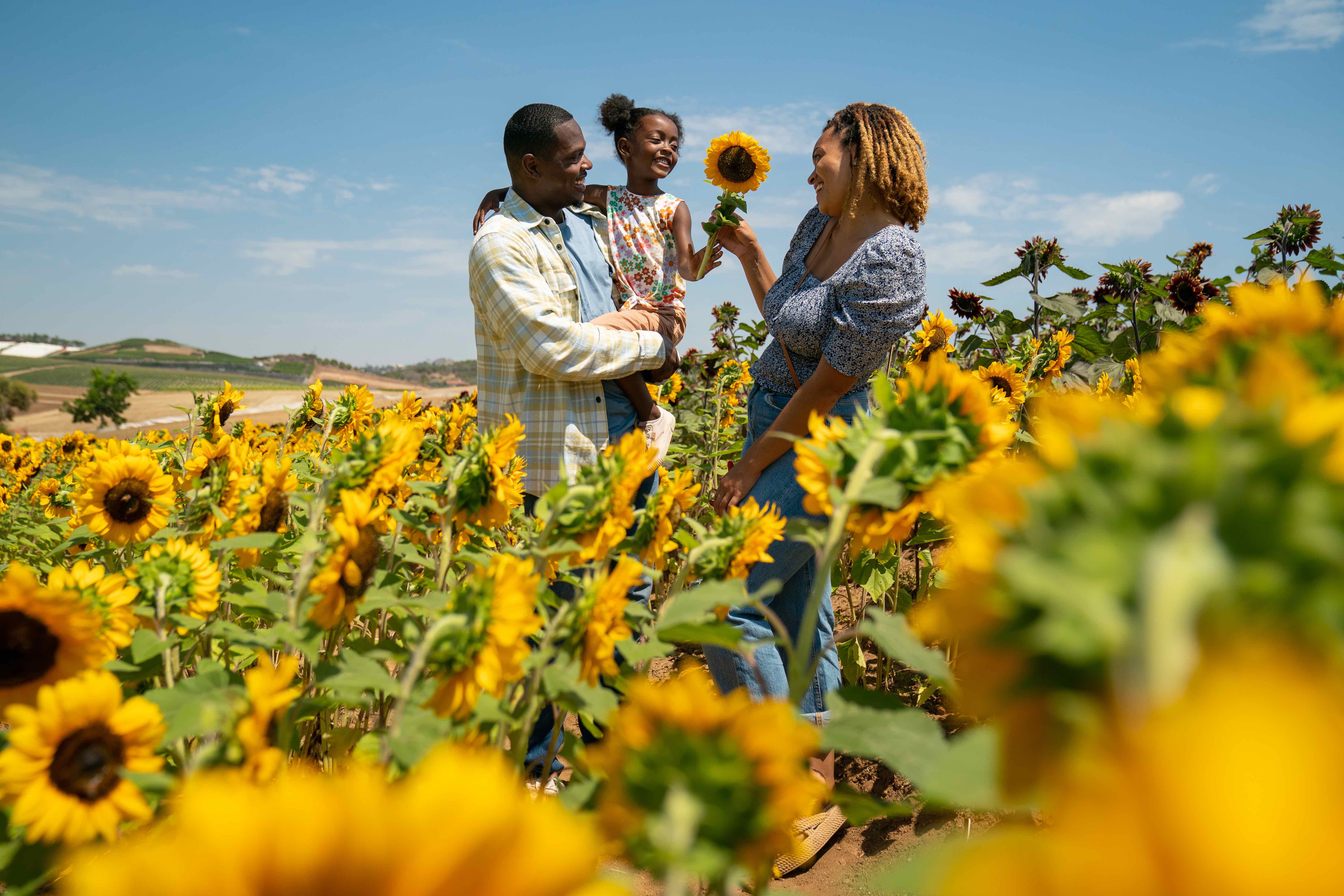 2022_visit_oceanside-1516