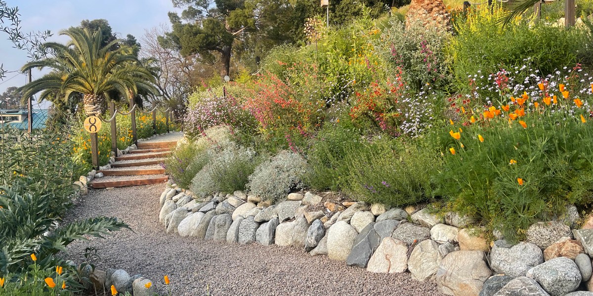 2024 Theodore Payne Garden Tour Walton Family Garden