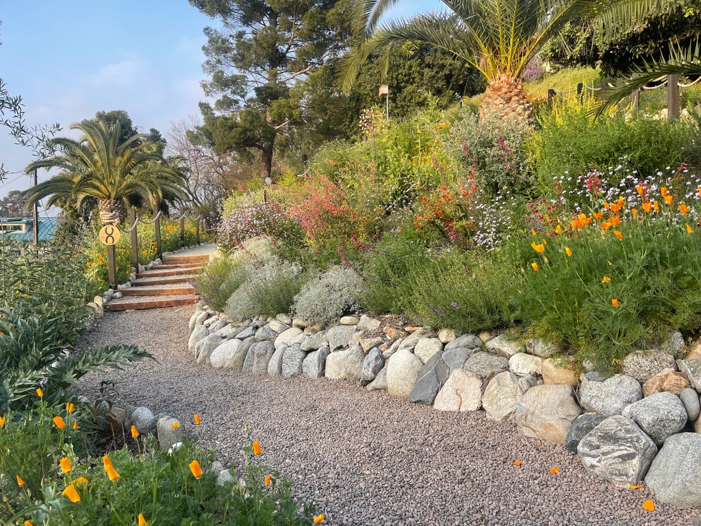 This Must-See Garden Event Is the Best Way to Get Native Plant Inspo for Your Yard
