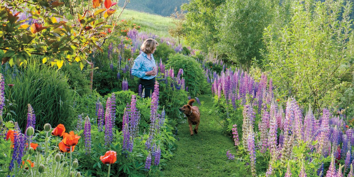 Well Irrigated Garden