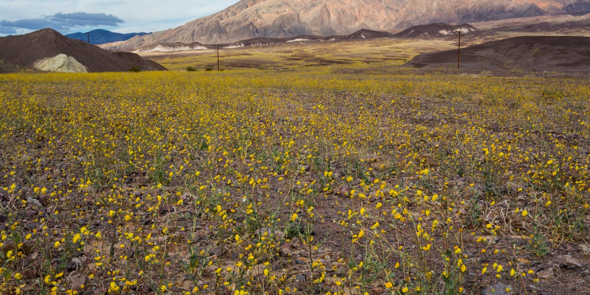 Views from Death Valley, California