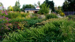 Seeing the Garden as a Living System