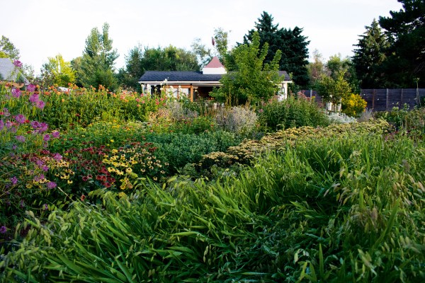 Soil Might Be the Reason Your Garden Isn’t Thriving. Here’s How to Dial in Your Dirt.