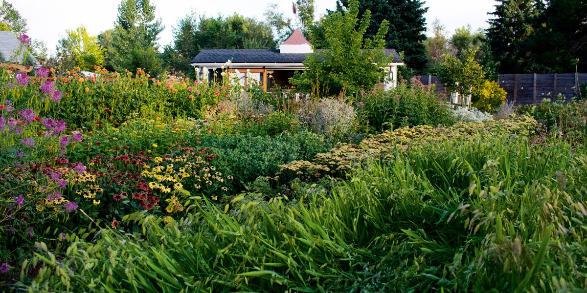 Seeing the Garden as a Living System