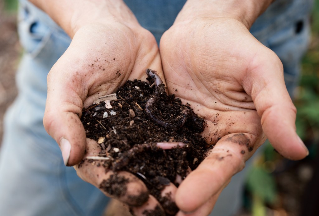 Hands Holding Dirt
