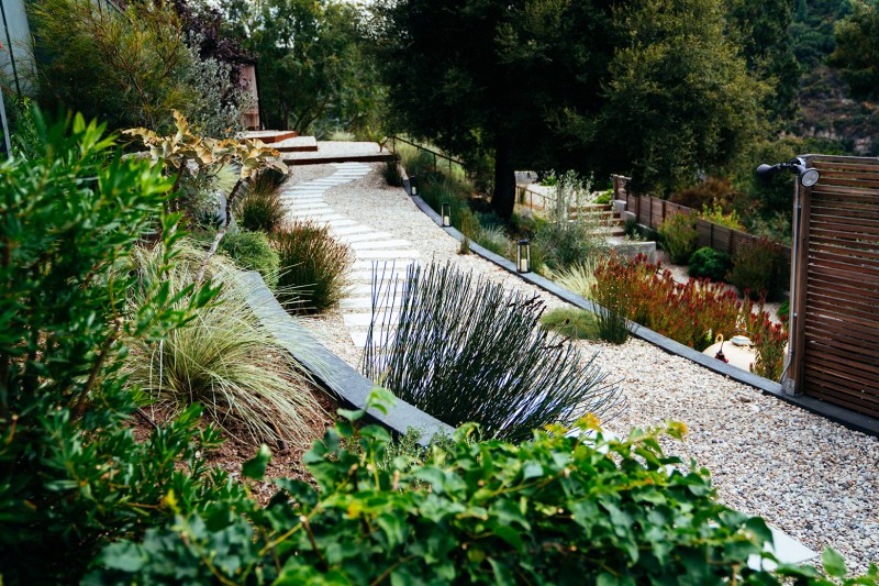 Los Angeles Regenerative Hillside