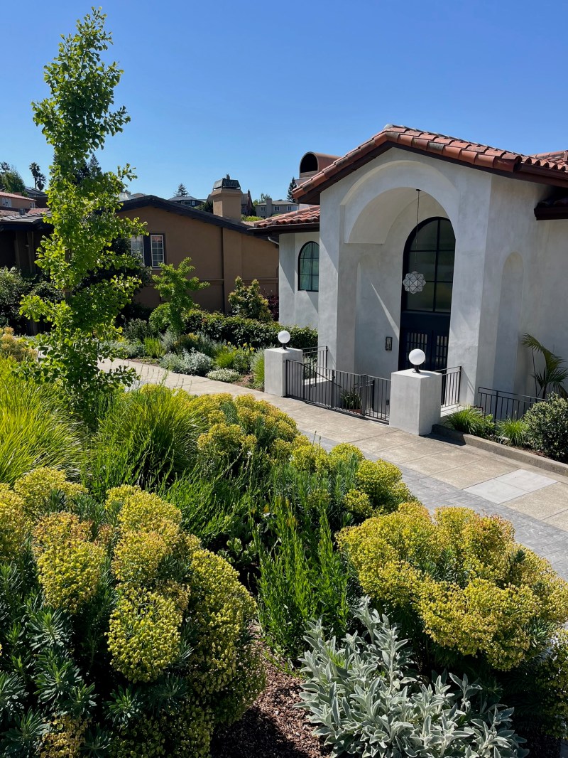 B&B Horticulture