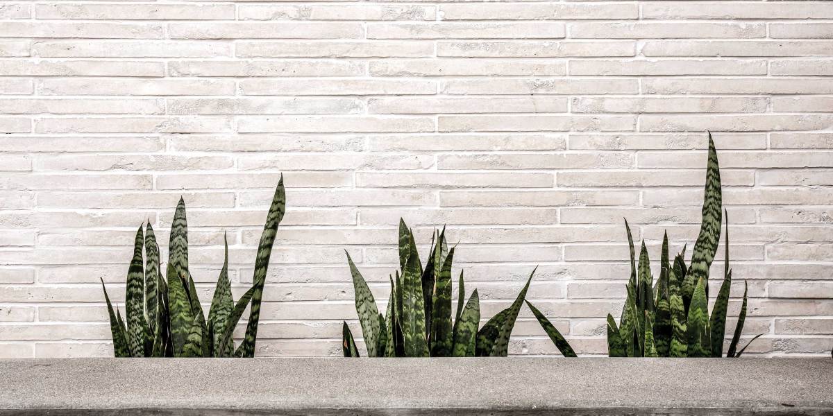 Veneer with Plants