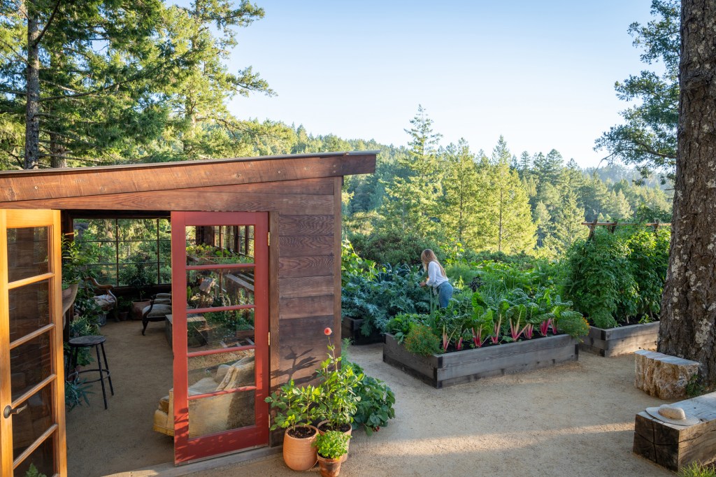 Greenhouse Exterior and Garden Beds