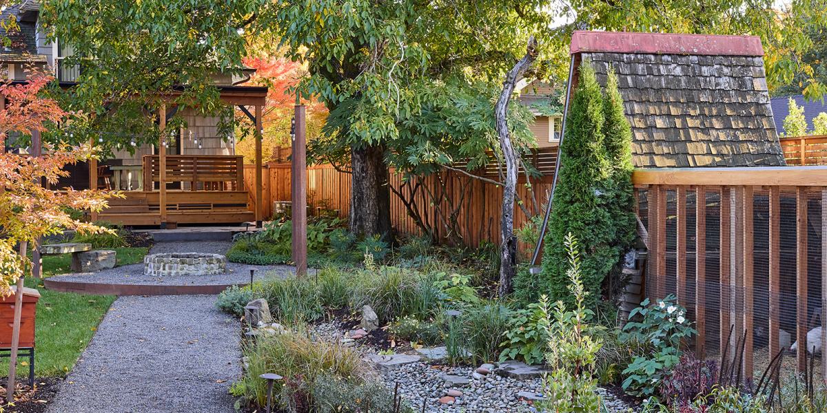 Backyard with Grading