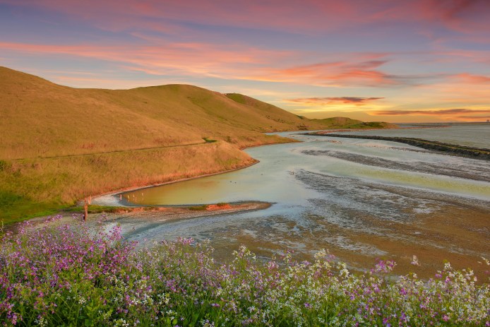 Coyote Hills Regional Park in Fremont