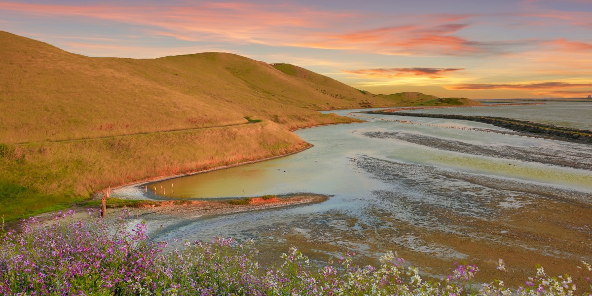 Coyote Hills Regional Park in Fremont